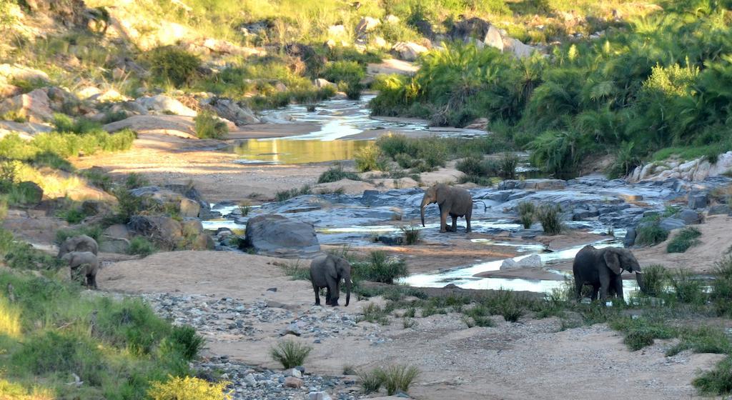 Greenfire Game Lodge Balule Doğa Koruma Alanı Dış mekan fotoğraf