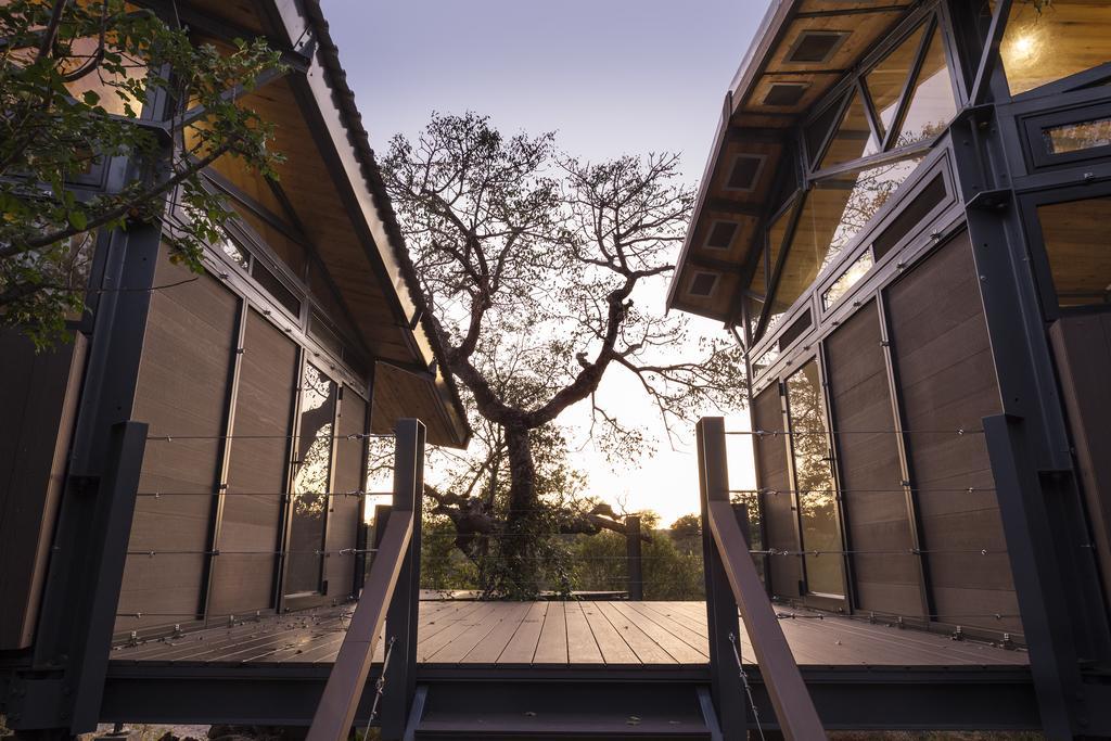 Greenfire Game Lodge Balule Doğa Koruma Alanı Oda fotoğraf